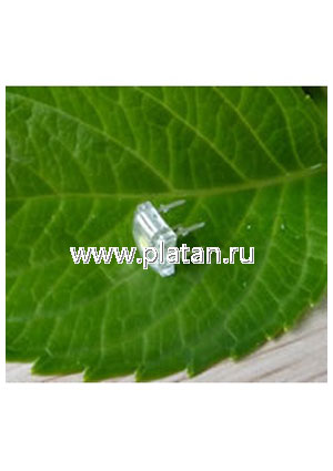 BL-FL760RUBC, Светодиод "Пиранья" синий 160" 2000мКд 470нМ (Ultra Blue)